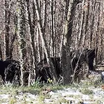 La Casa Di Mirella *