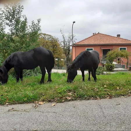 La Casa Di Mirella דירה *