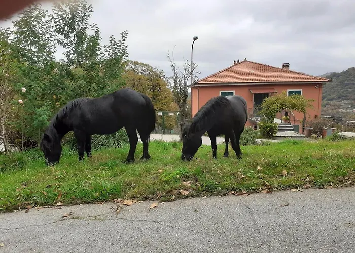 La Casa Di Mirella Apartamento *