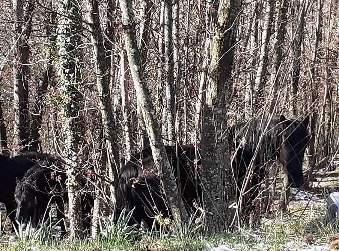 La Casa Di Mirella *